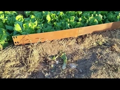 1SGS 000mm*1.6mm*100mm গ্যালভানাইজড কর্টেন স্টিল বর্ডার এজিং কর্টেন লন এজিং